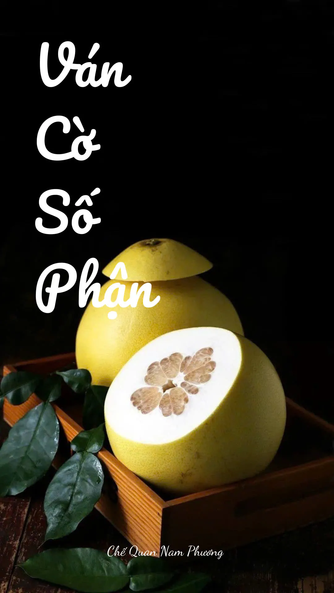 Bìa truyện VÁN CỜ SỐ PHẬN