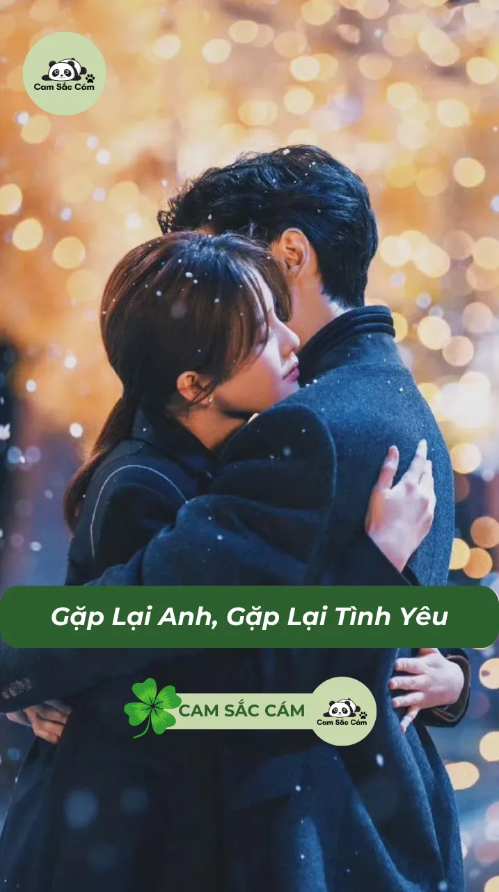Bìa truyện Gặp Lại Anh, Gặp Lại Tình Yêu