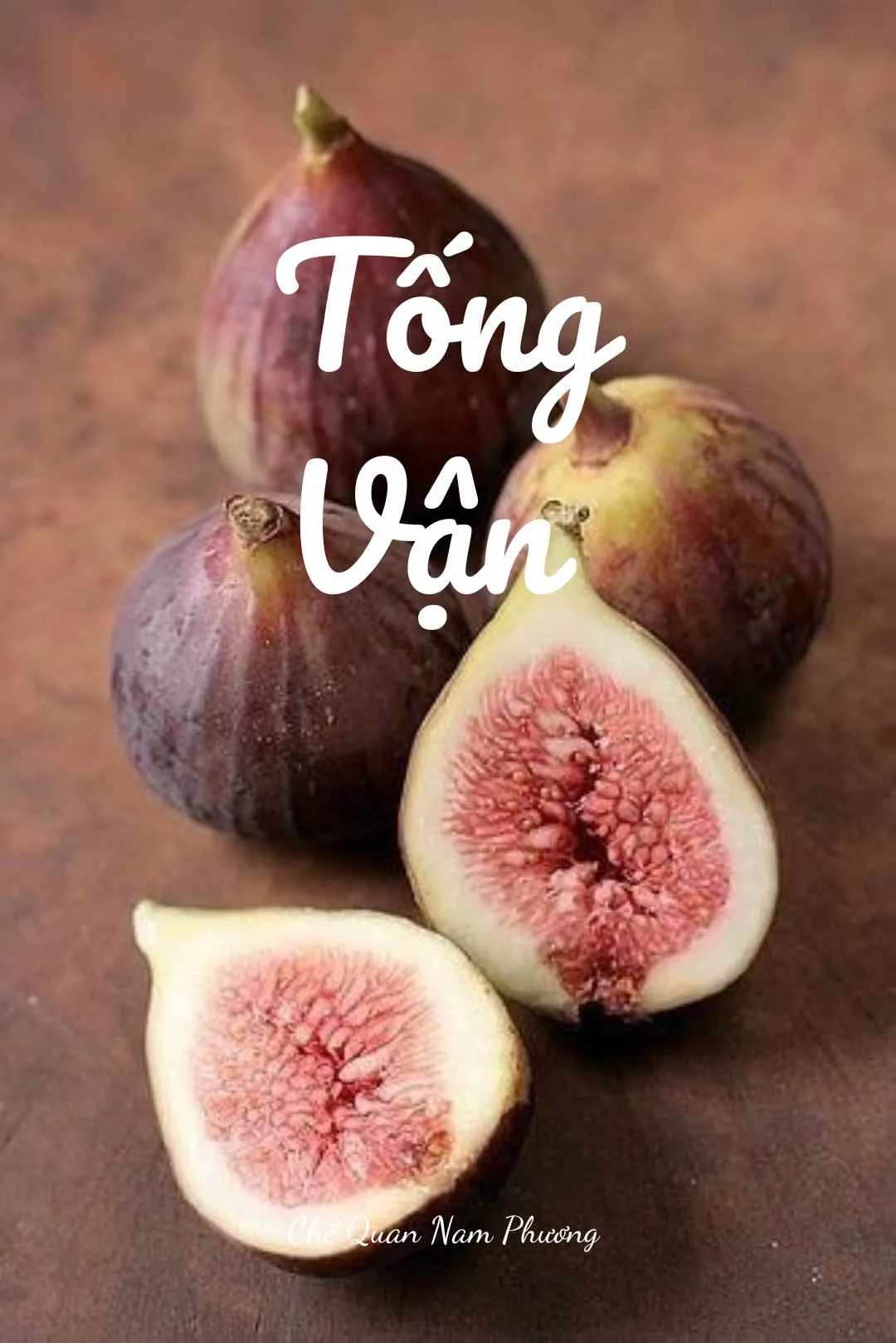 Bìa truyện TỐNG VẬN