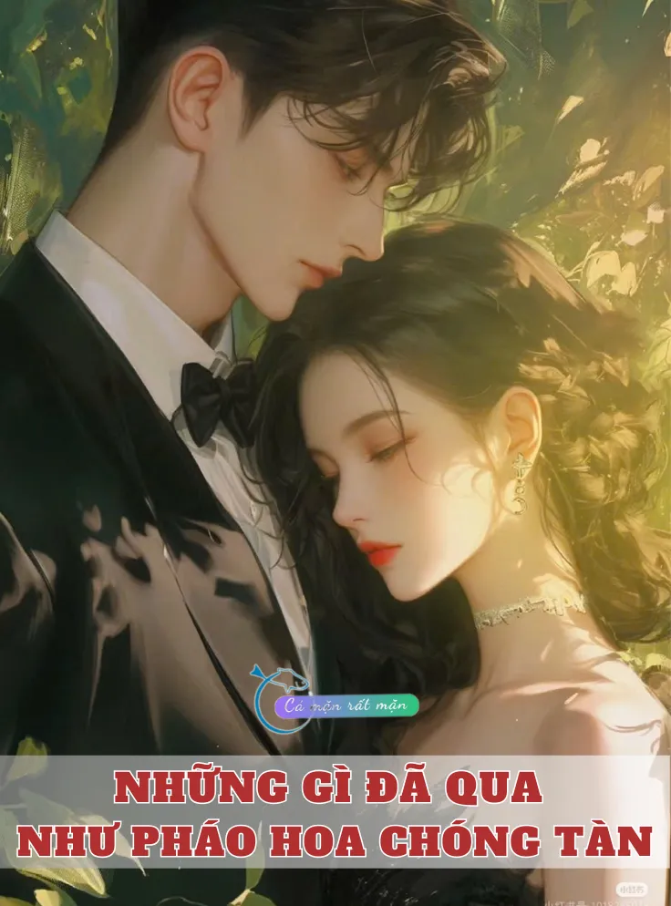 Bìa truyện Những Gì Đã Qua Như Pháo Hoa Chóng Tàn