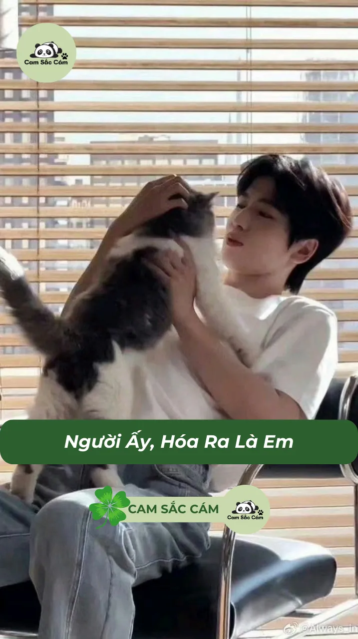 Bìa truyện Người Ấy, Hóa Ra Là Em