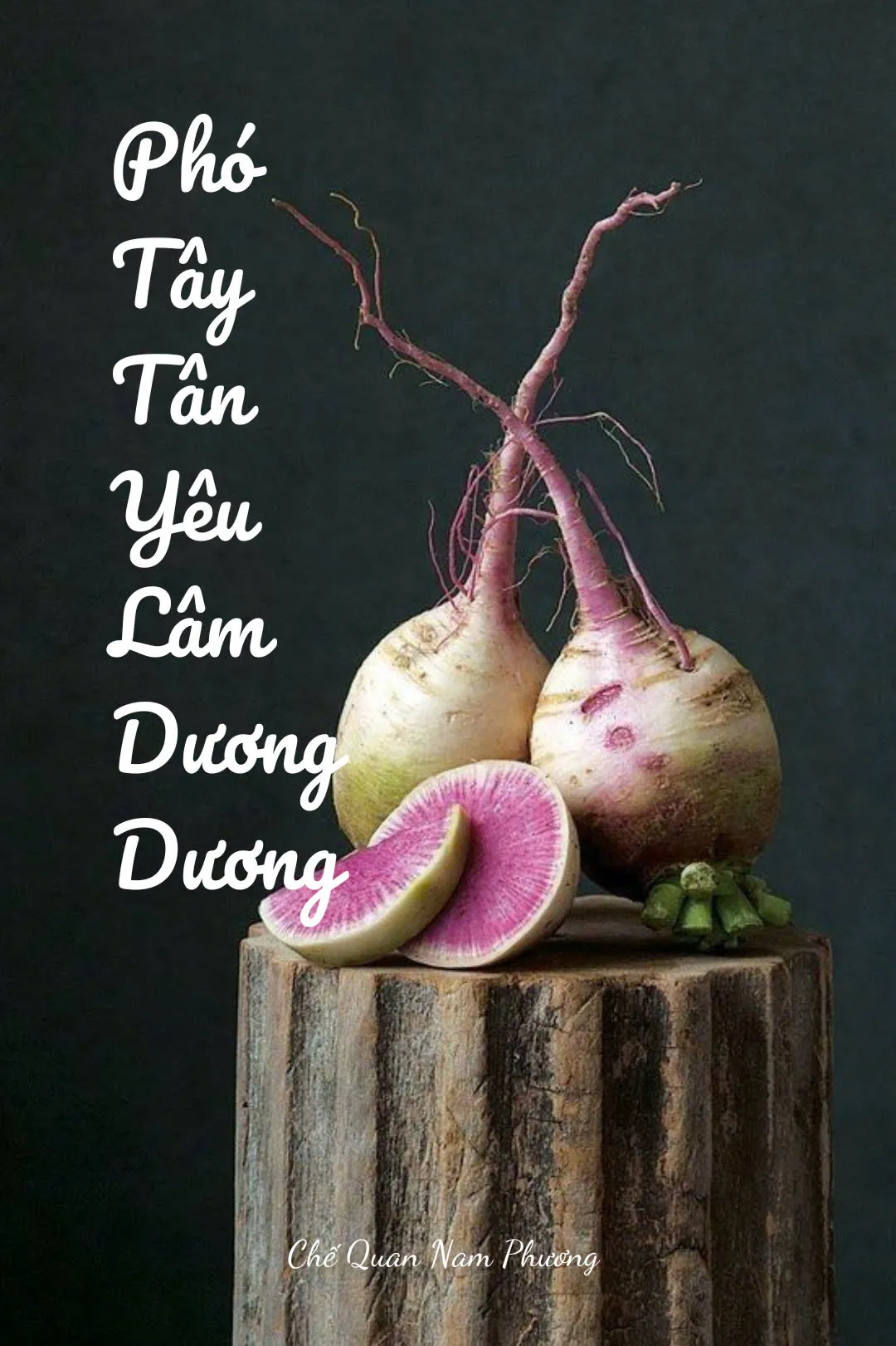 Bìa truyện PHÓ TÂY TÂN YÊU LÂM DƯƠNG DƯƠNG