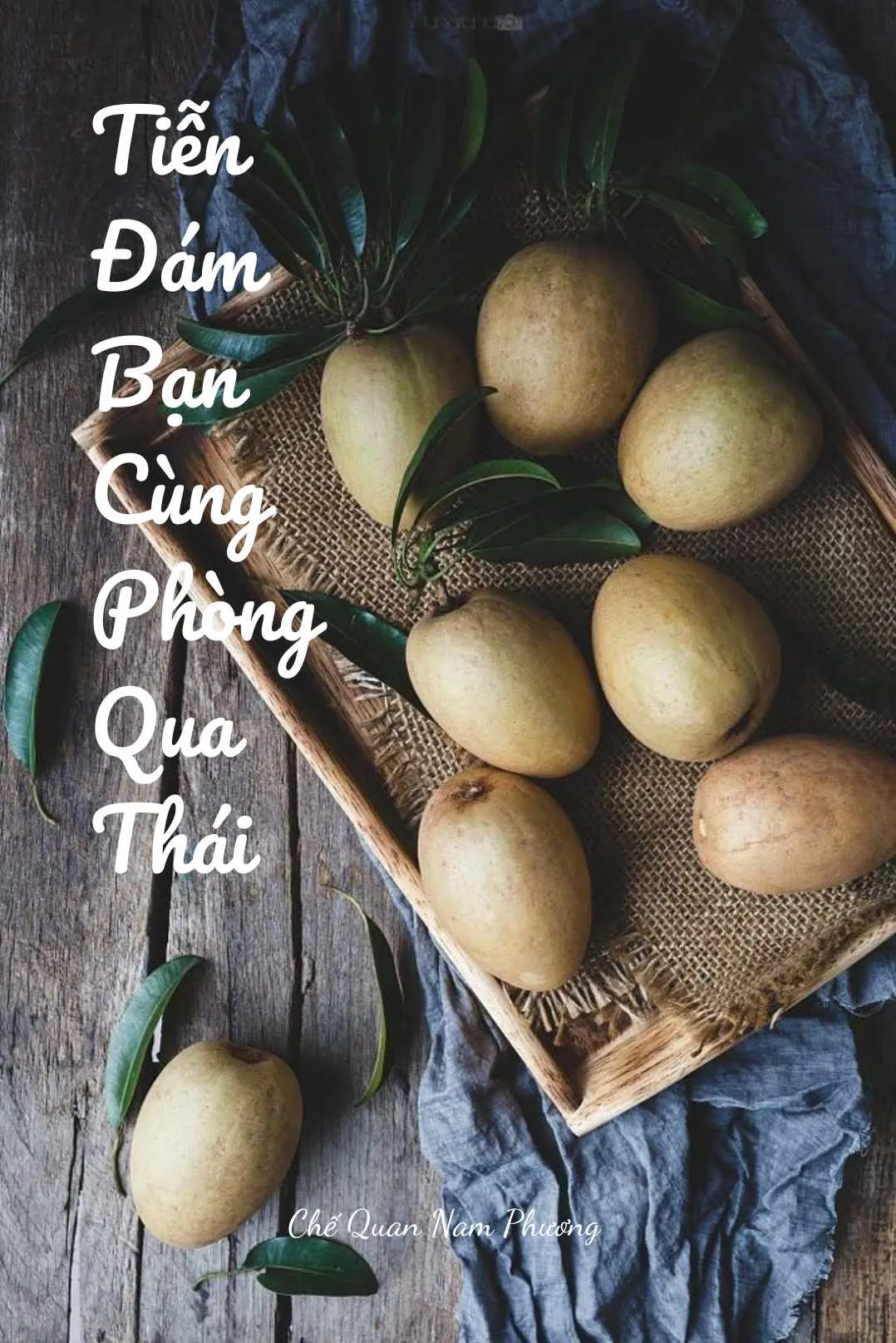 Bìa truyện TIỄN ĐÁM BẠN CÙNG PHÒNG QUA THÁI