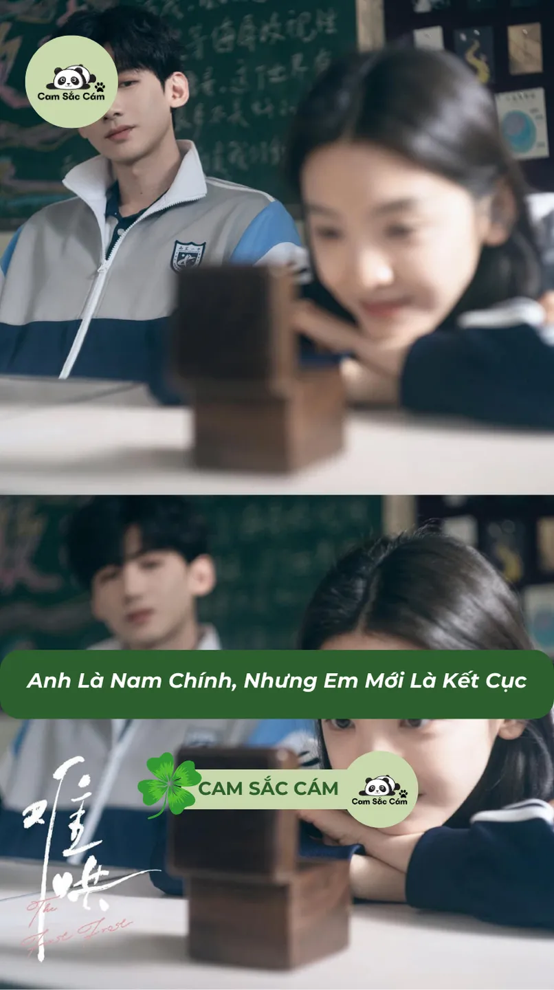 Bìa truyện Anh Là Nam Chính, Nhưng Em Mới Là Kết Cục