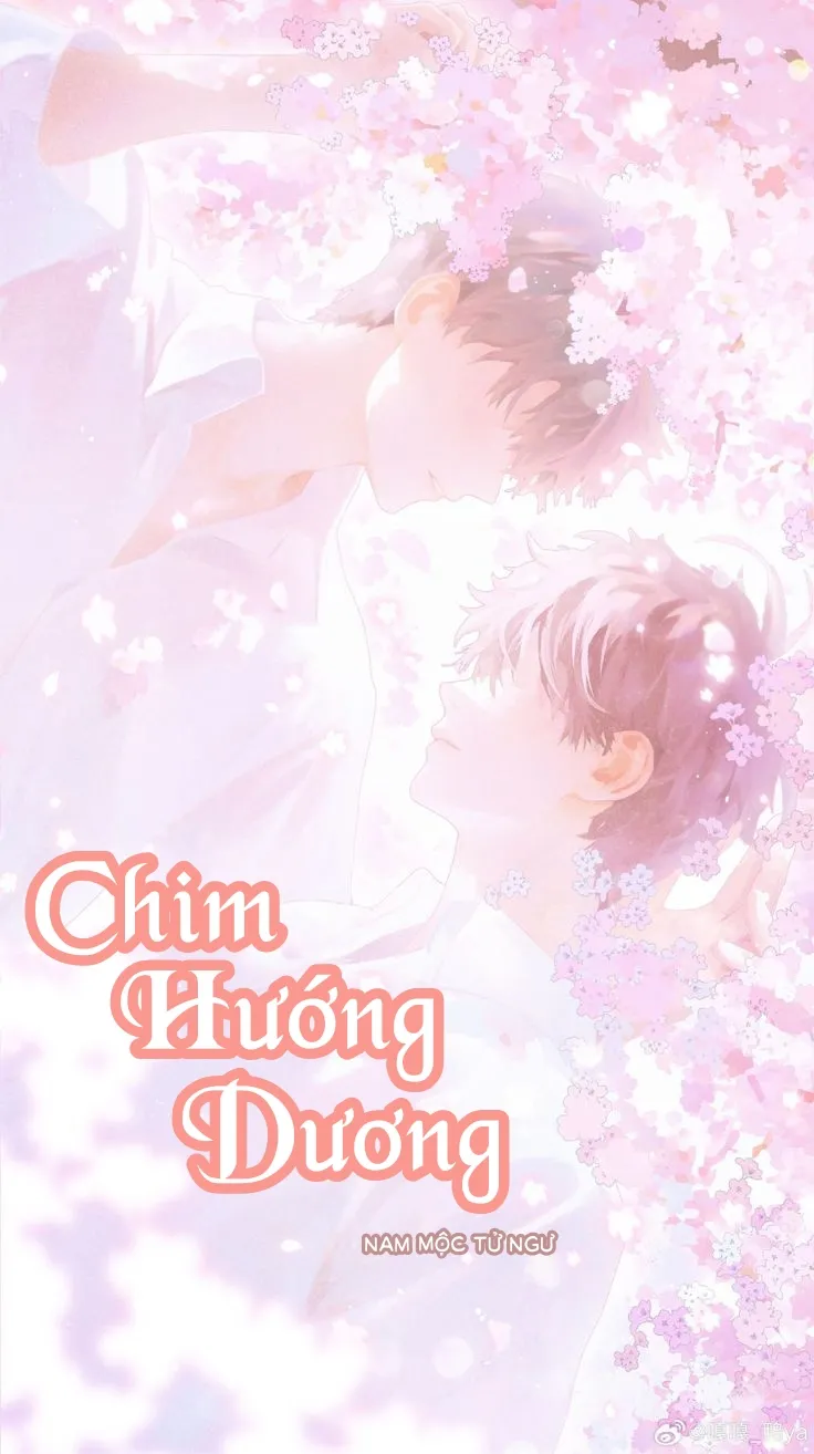Chim Hướng Dương 