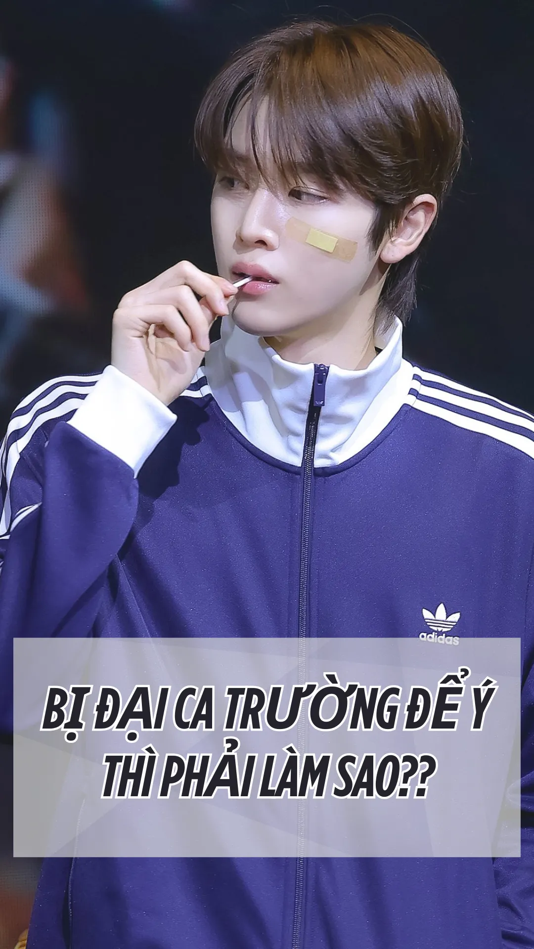 Bị đại ca trường để ý thì phải làm sao đây? 
