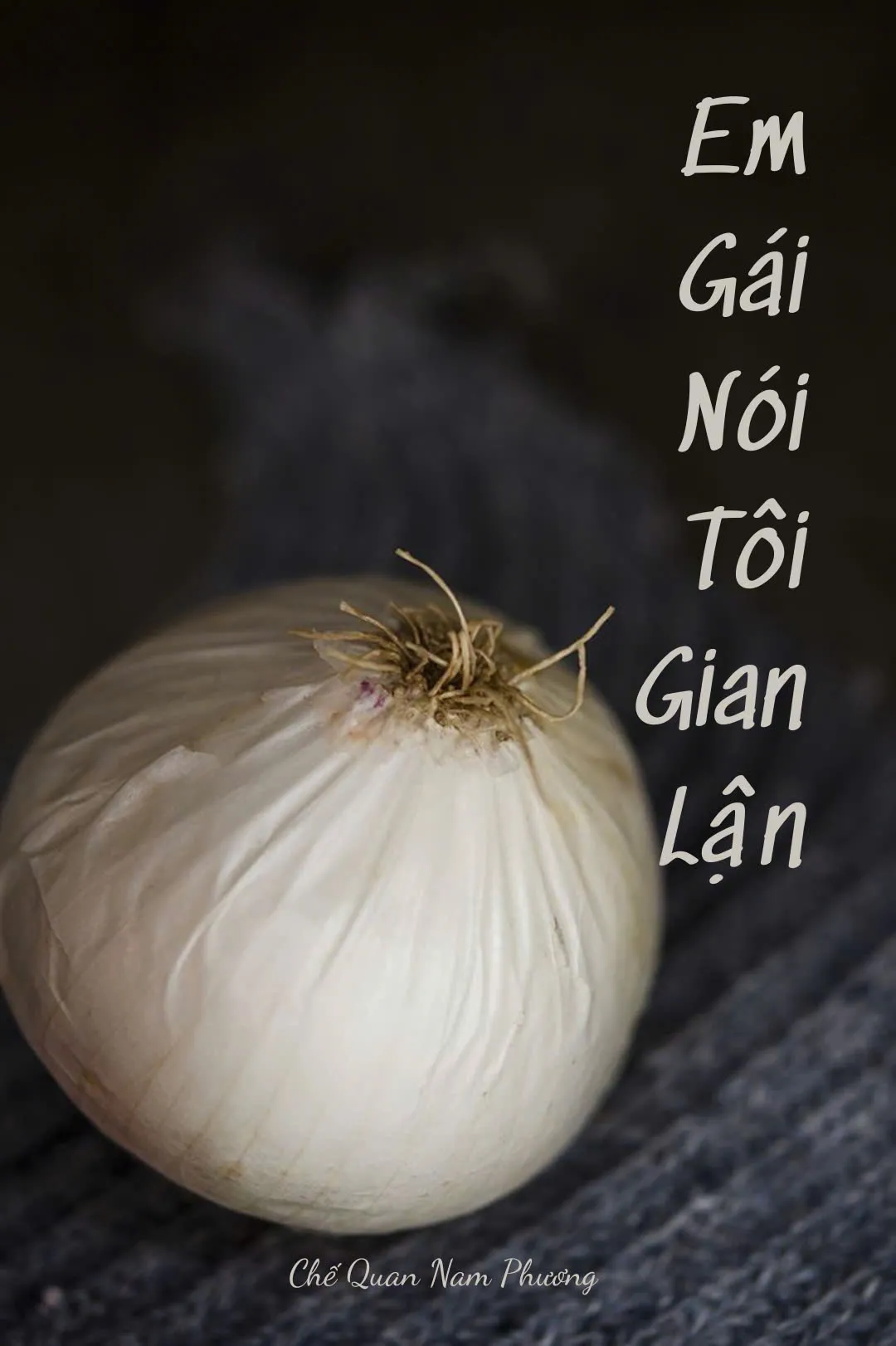 Bìa truyện EM GÁI NÓI TÔI GIAN LẬN