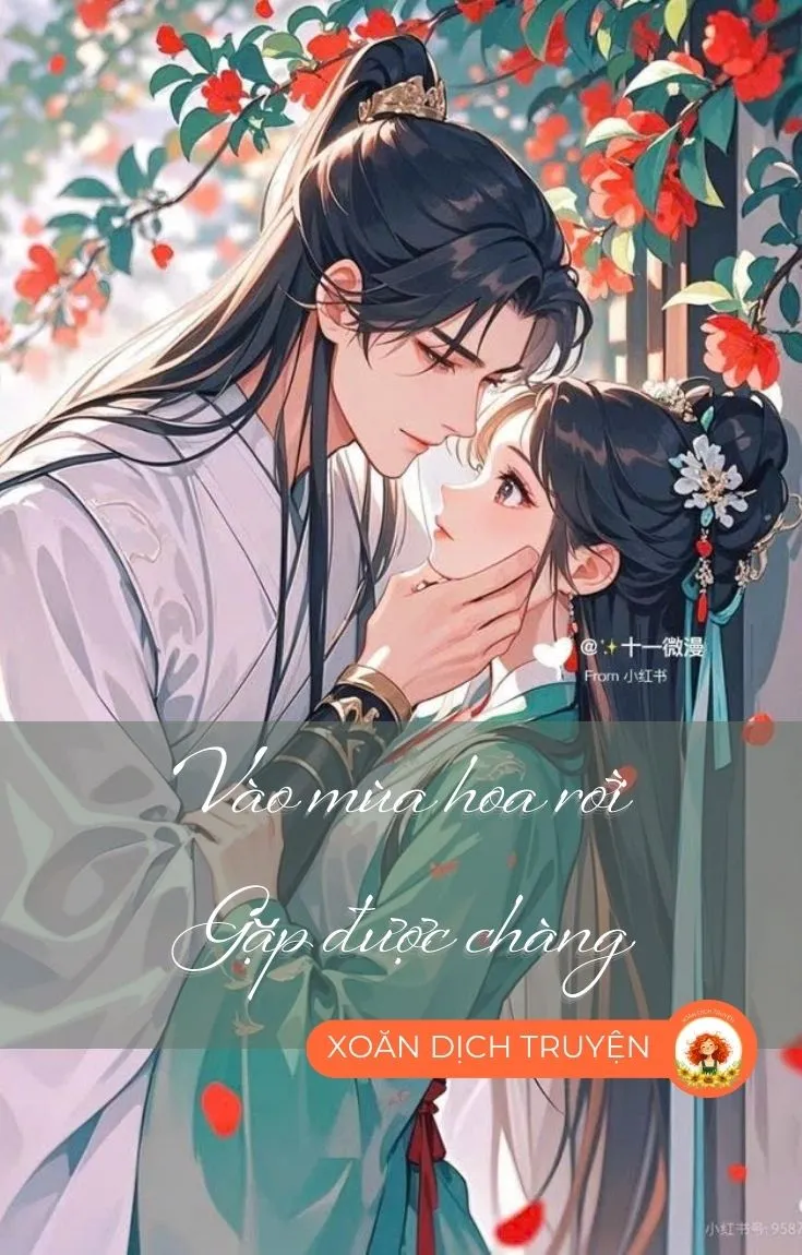 Bìa truyện VÀO MÙA HOA RƠI GẶP ĐƯỢC CHÀNG