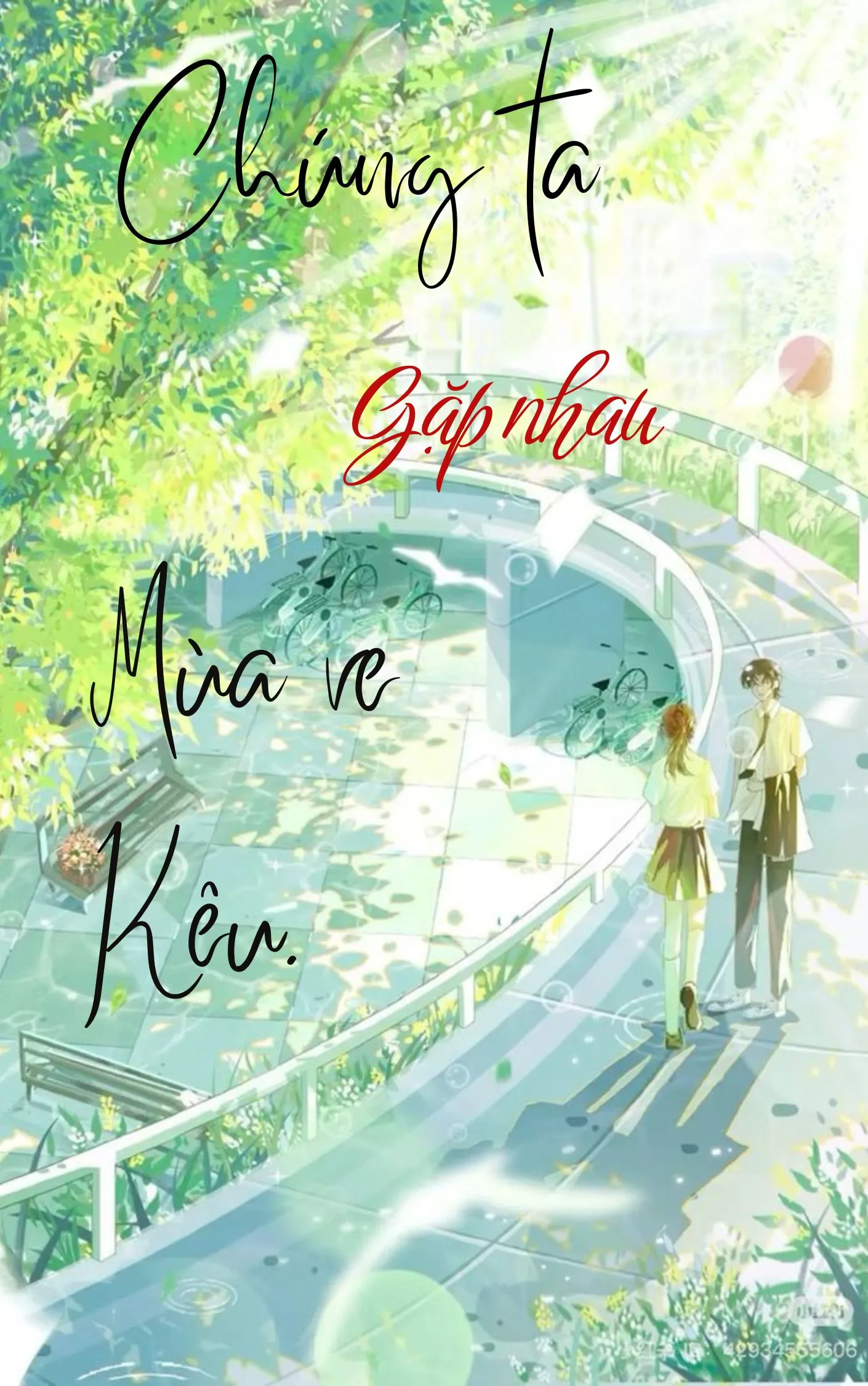 Chúng Ta Gặp Nhau Mùa Ve Kêu