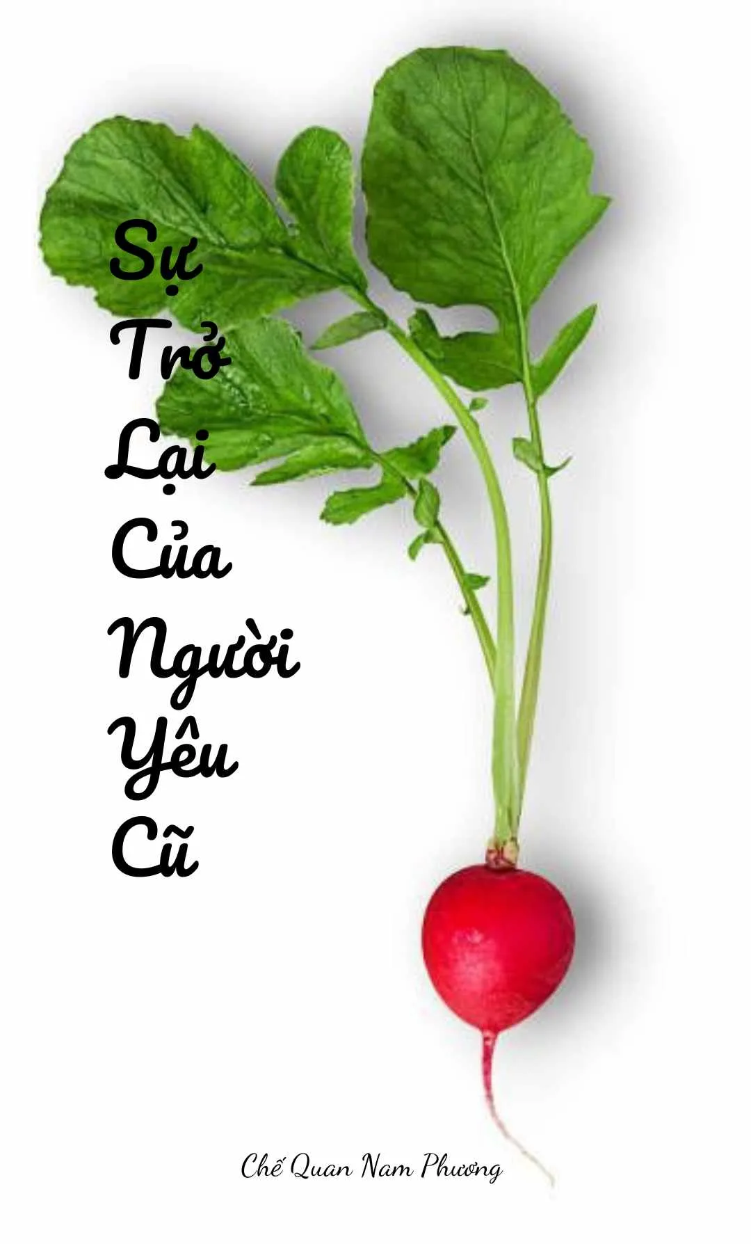 Bìa truyện SỰ TRỞ LẠI CỦA NGƯỜI YÊU CŨ