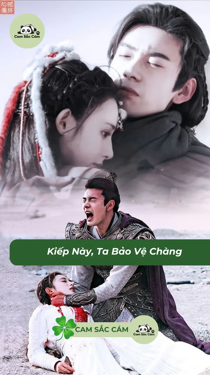 Bìa truyện Kiếp Này, Ta Bảo Vệ Chàng