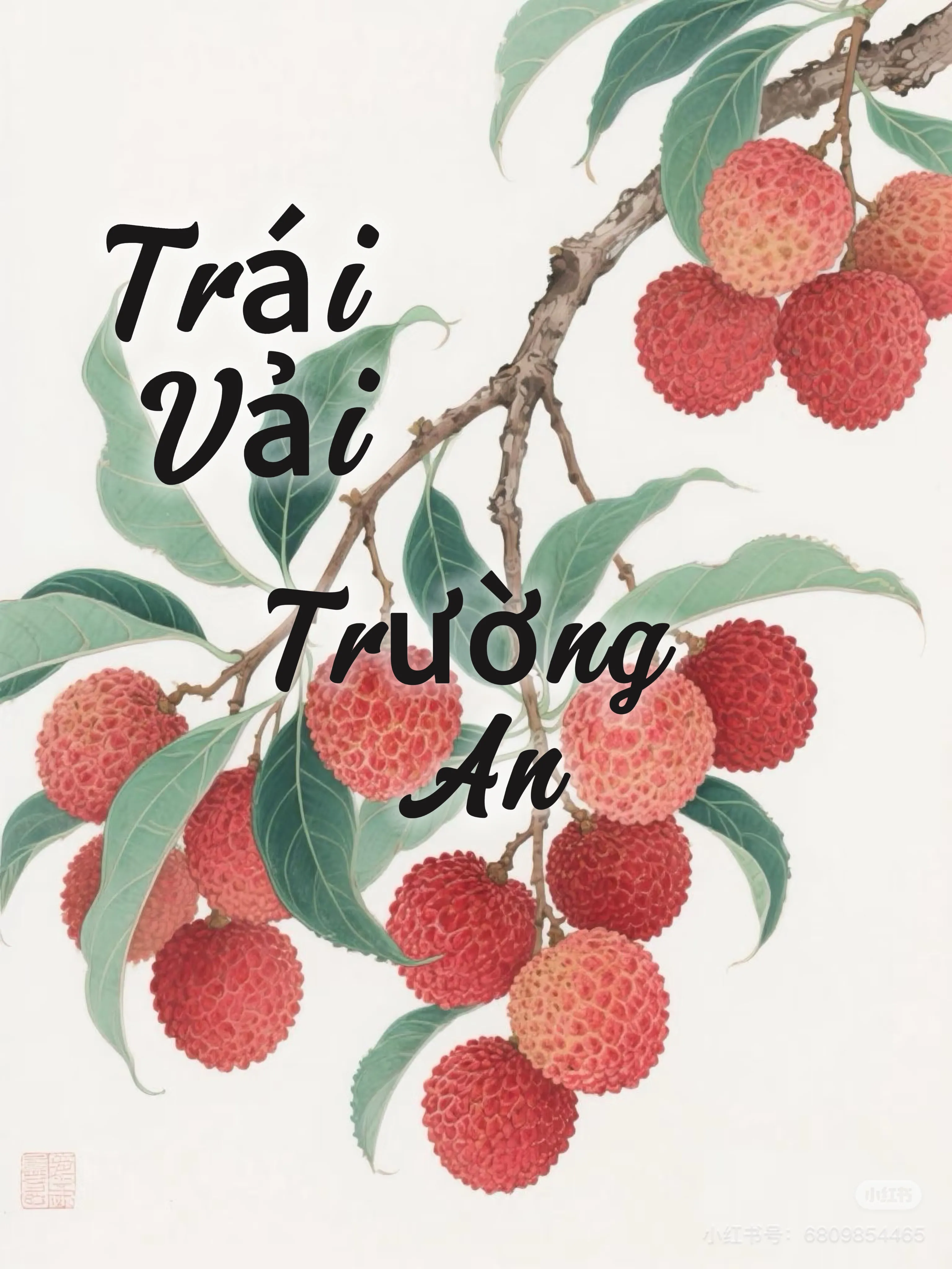 Trái Vải Trường An
