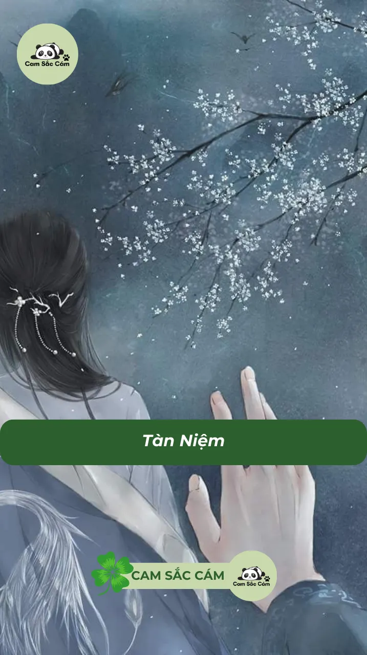 Bìa truyện Tàn Niệm