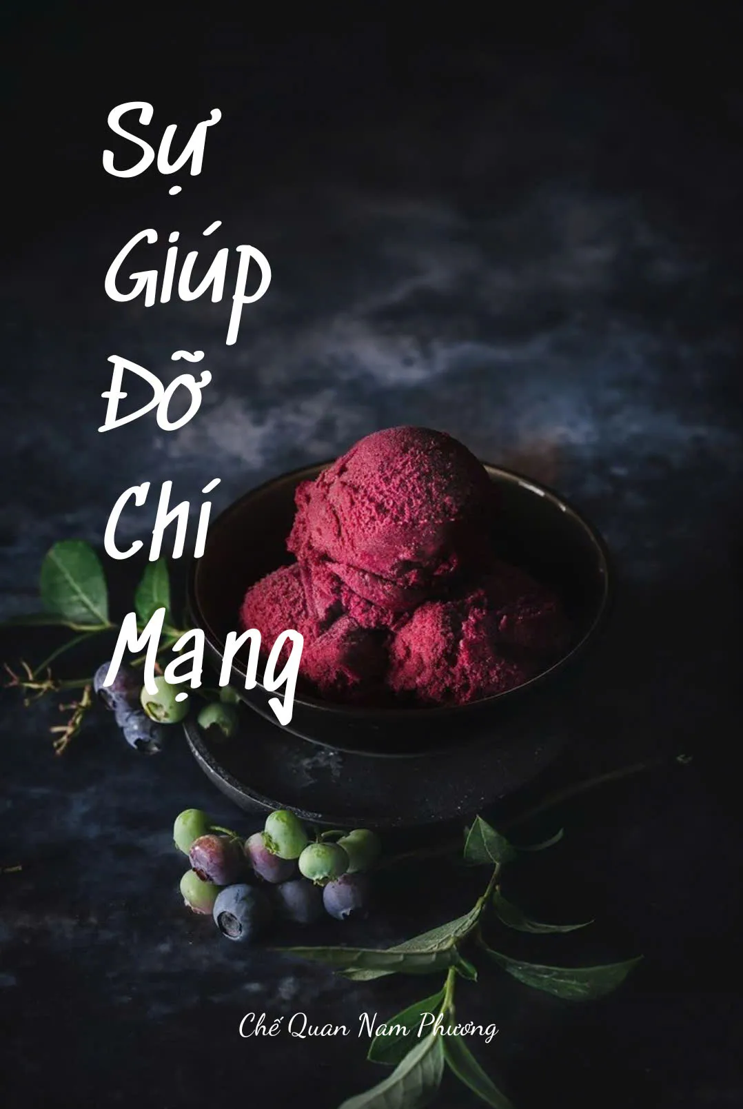 Bìa truyện  SỰ GIÚP ĐỠ CHÍ MẠNG