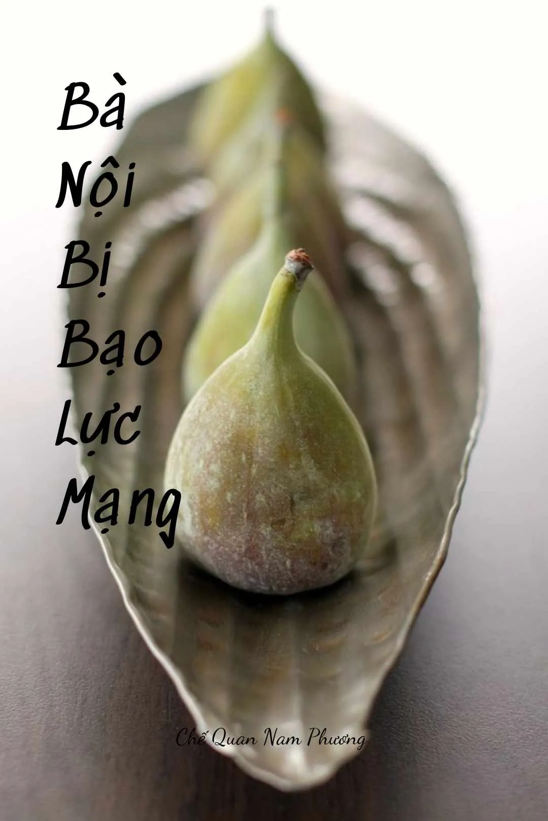 Bìa truyện BÀ NỘI BỊ BẠO LỰC MẠNG