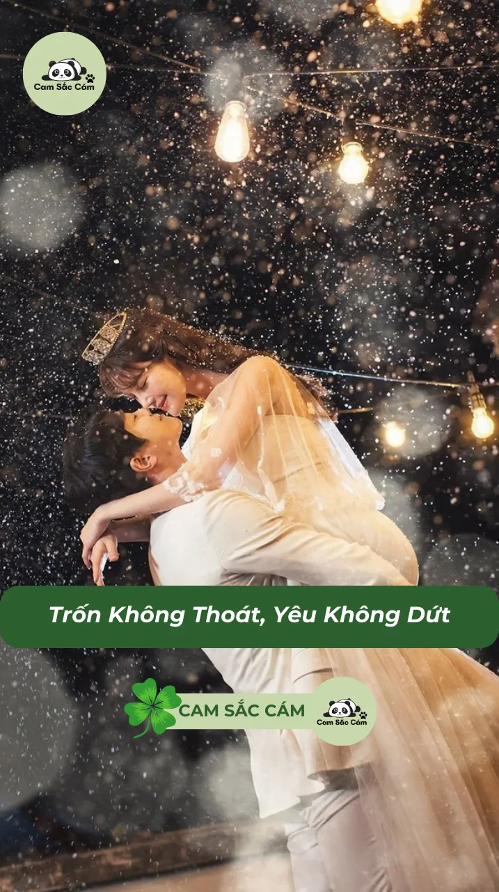 Bìa truyện Trốn Không Thoát, Yêu Không Dứt