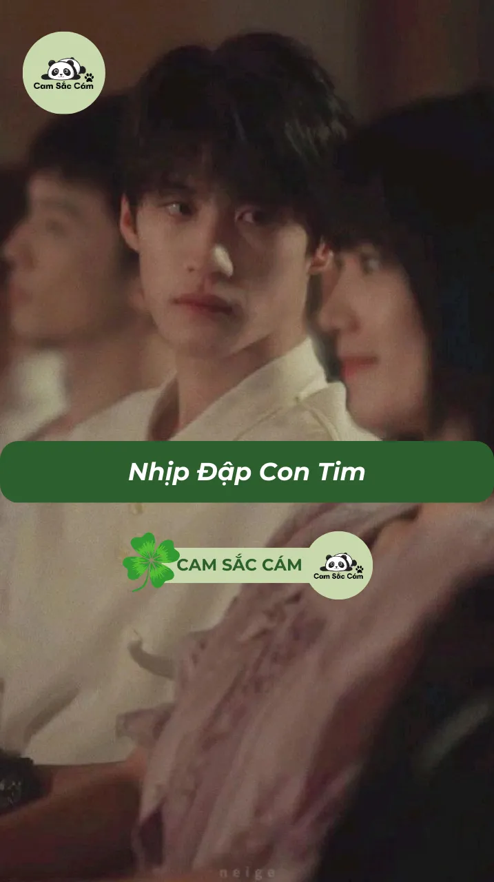 Bìa truyện Nhịp Đập Con Tim