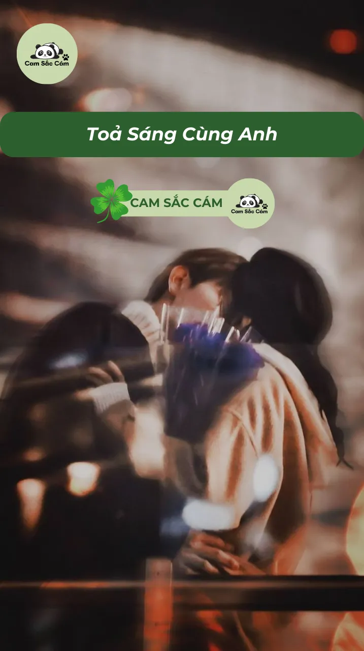 Bìa truyện Toả Sáng Cùng Anh