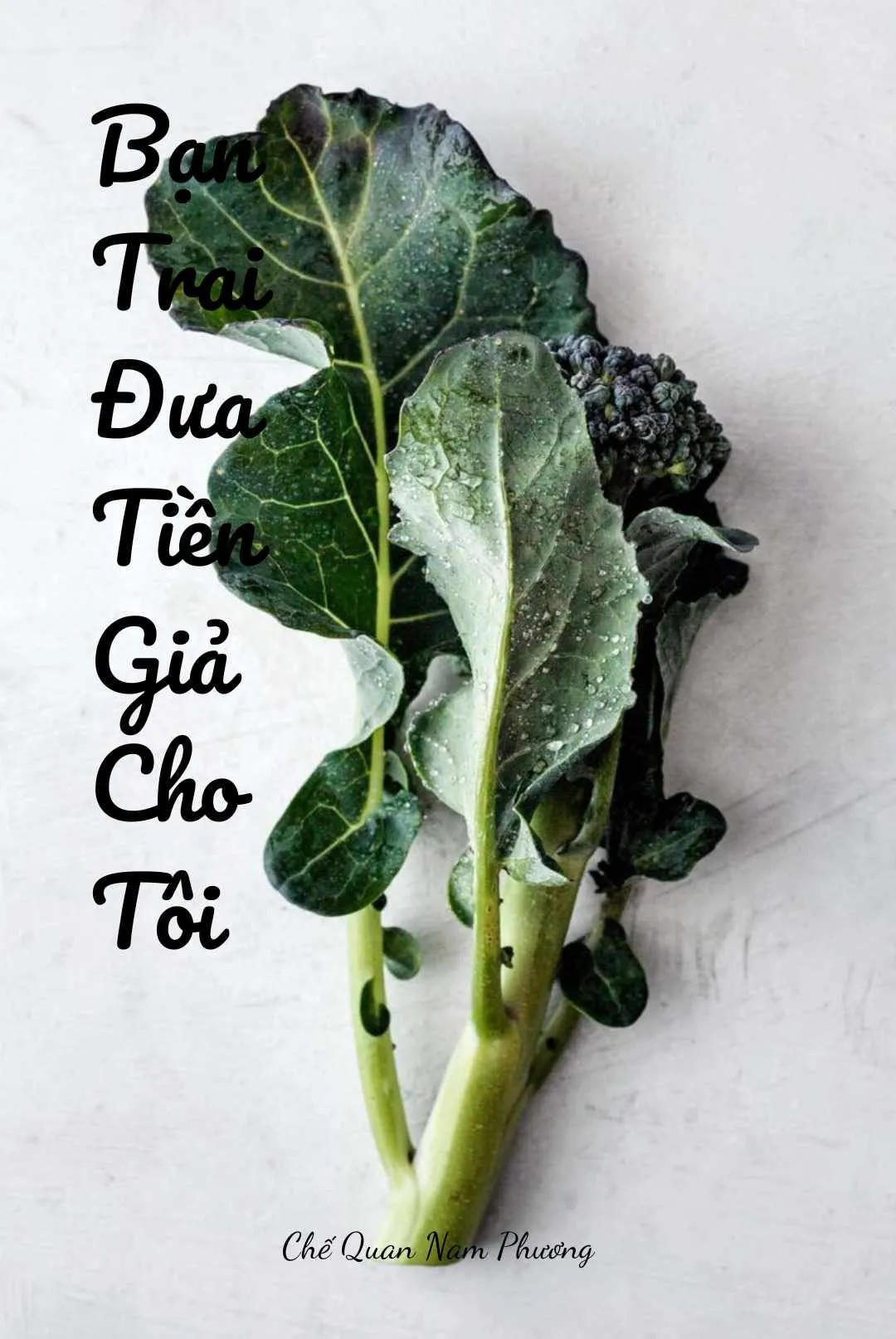 Bìa truyện BẠN TRAI ĐƯA TIỀN GIẢ CHO TÔI