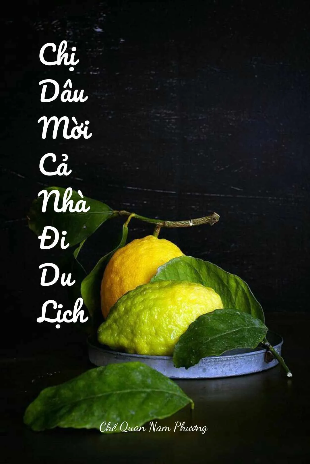 Bìa truyện CHỊ DÂU MỜI CẢ NHÀ ĐI DU LỊCH