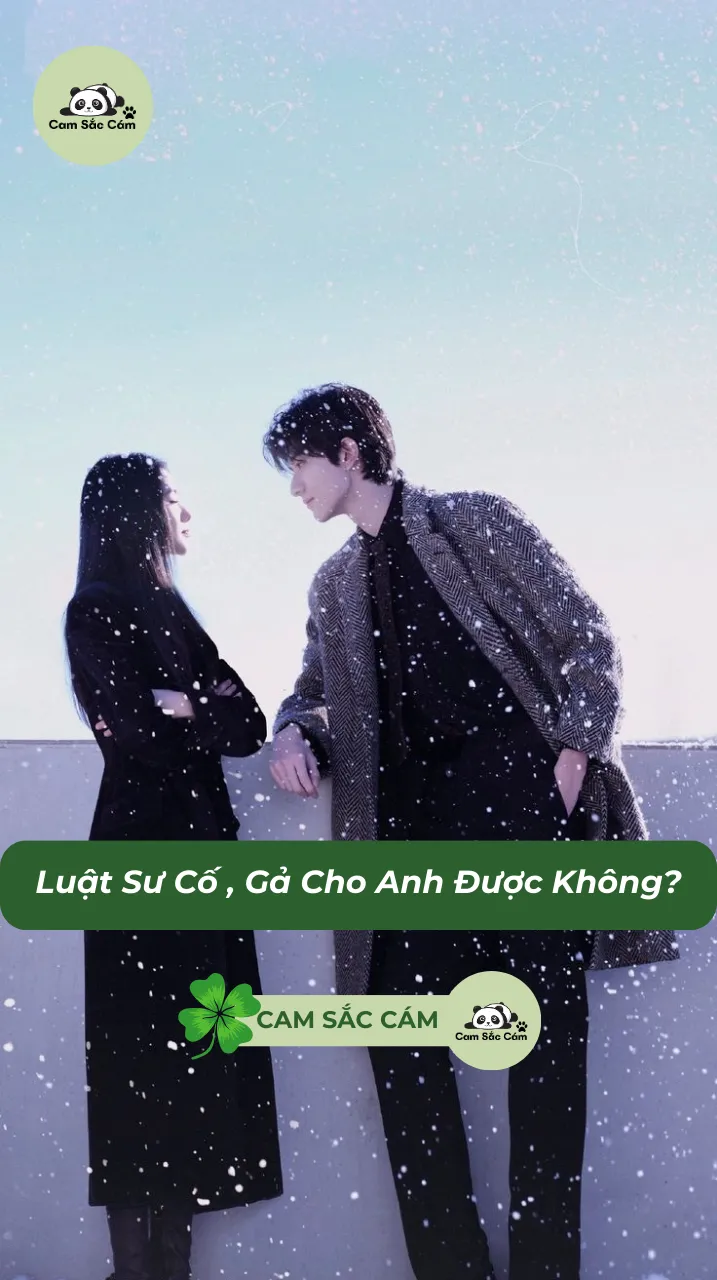 Bìa truyện Luật Sư Cố , Gả Cho Anh Được Không?