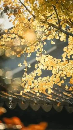 Sau khi sống lại, mụ chị dâu đe không nuôi mẹ tôi lúc về già phát điên rồi