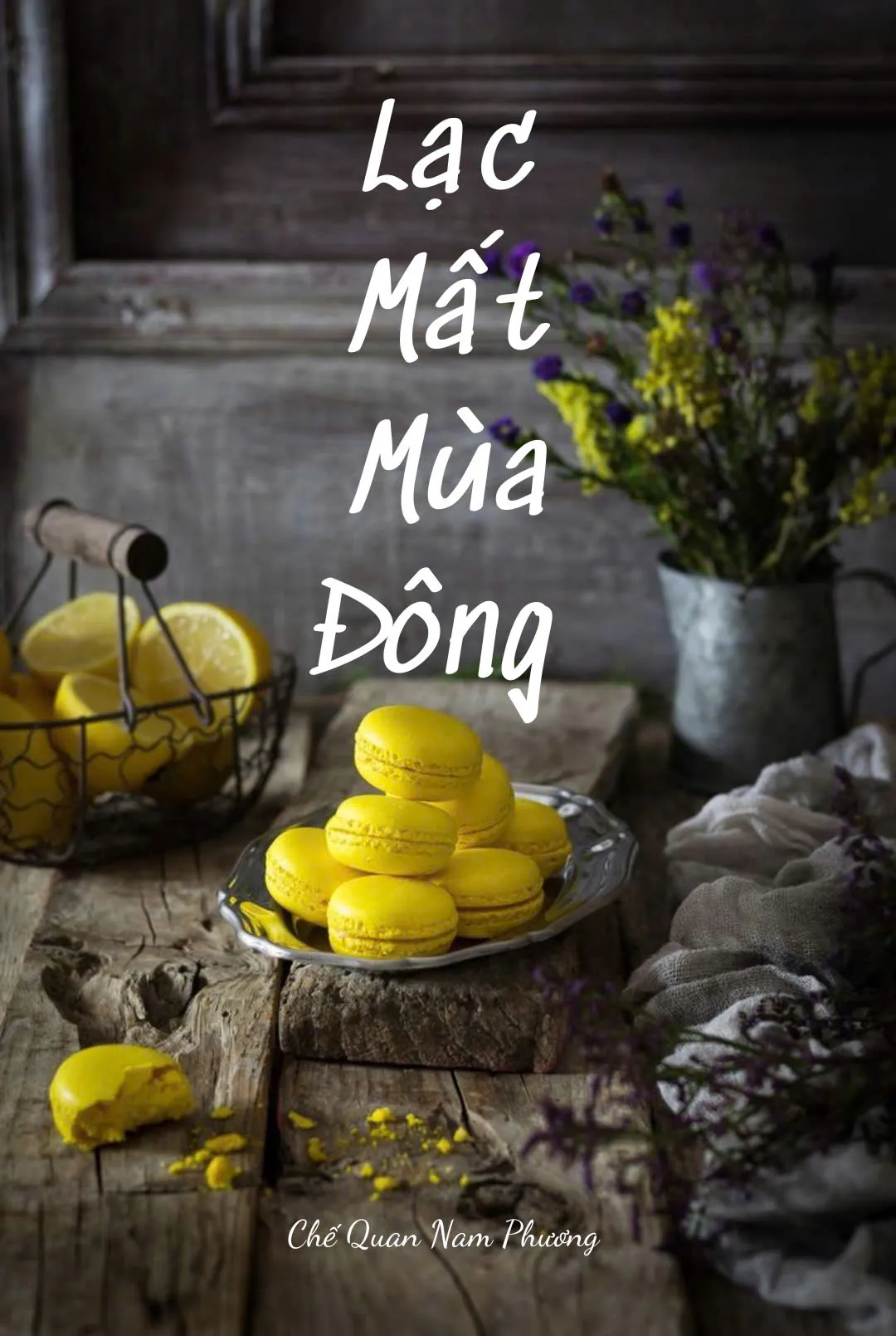 Bìa truyện LẠC MẤT MÙA ĐÔNG