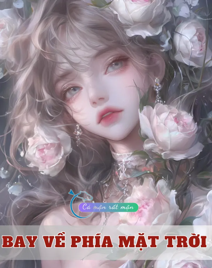 Bìa truyện Bay Về Phía Mặt Trời
