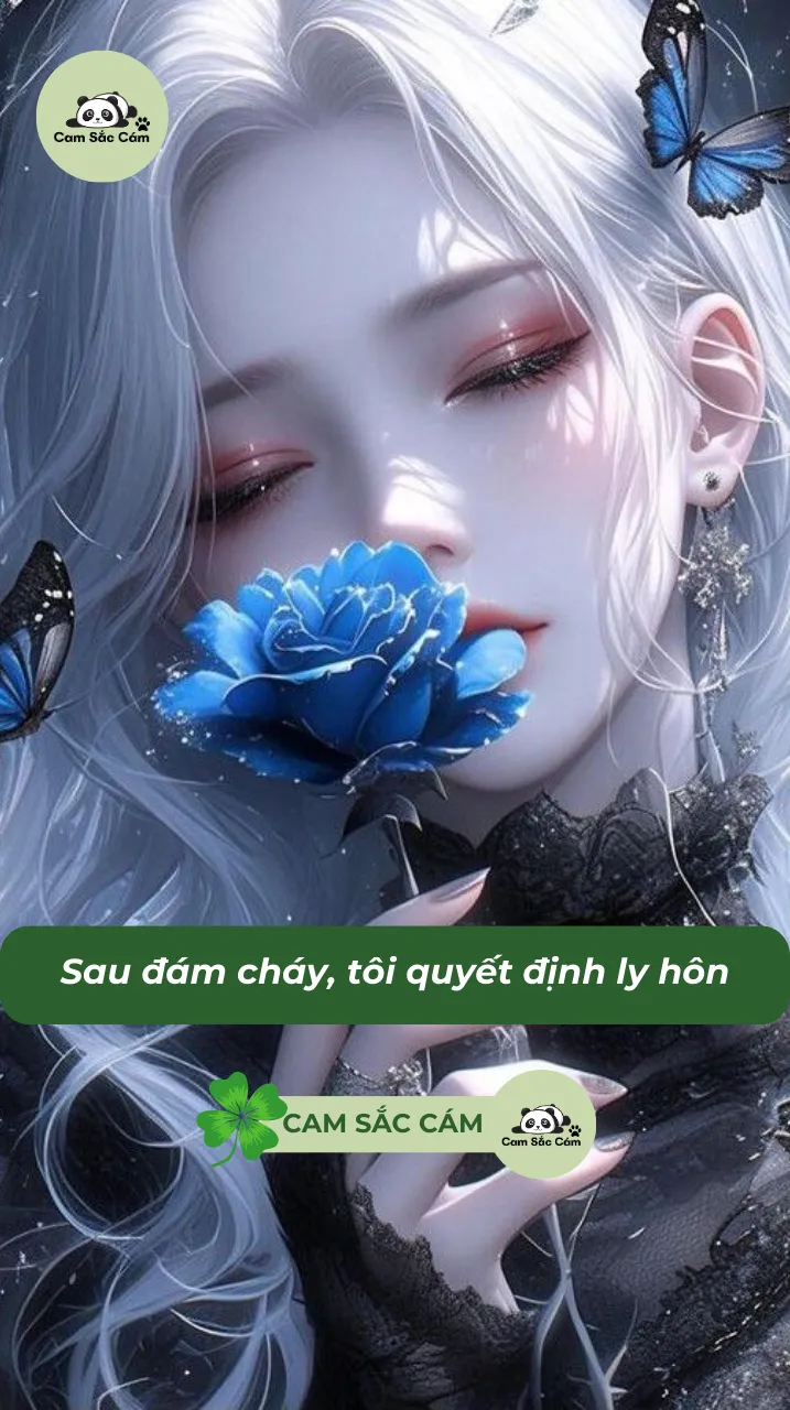 Bìa truyện Sau đám cháy, tôi quyết định ly hôn