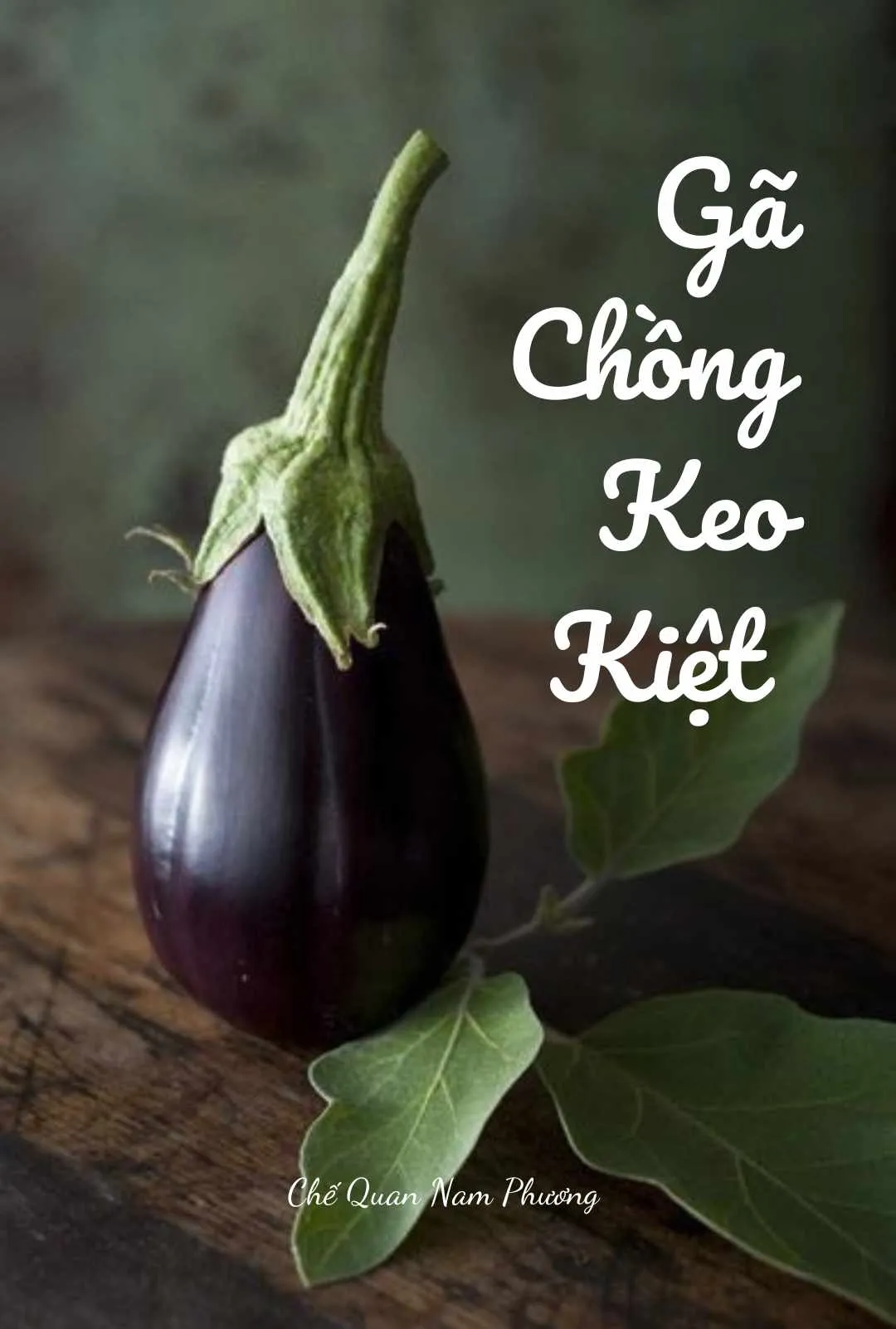 Bìa truyện GÃ CHỒNG KEO KIỆT