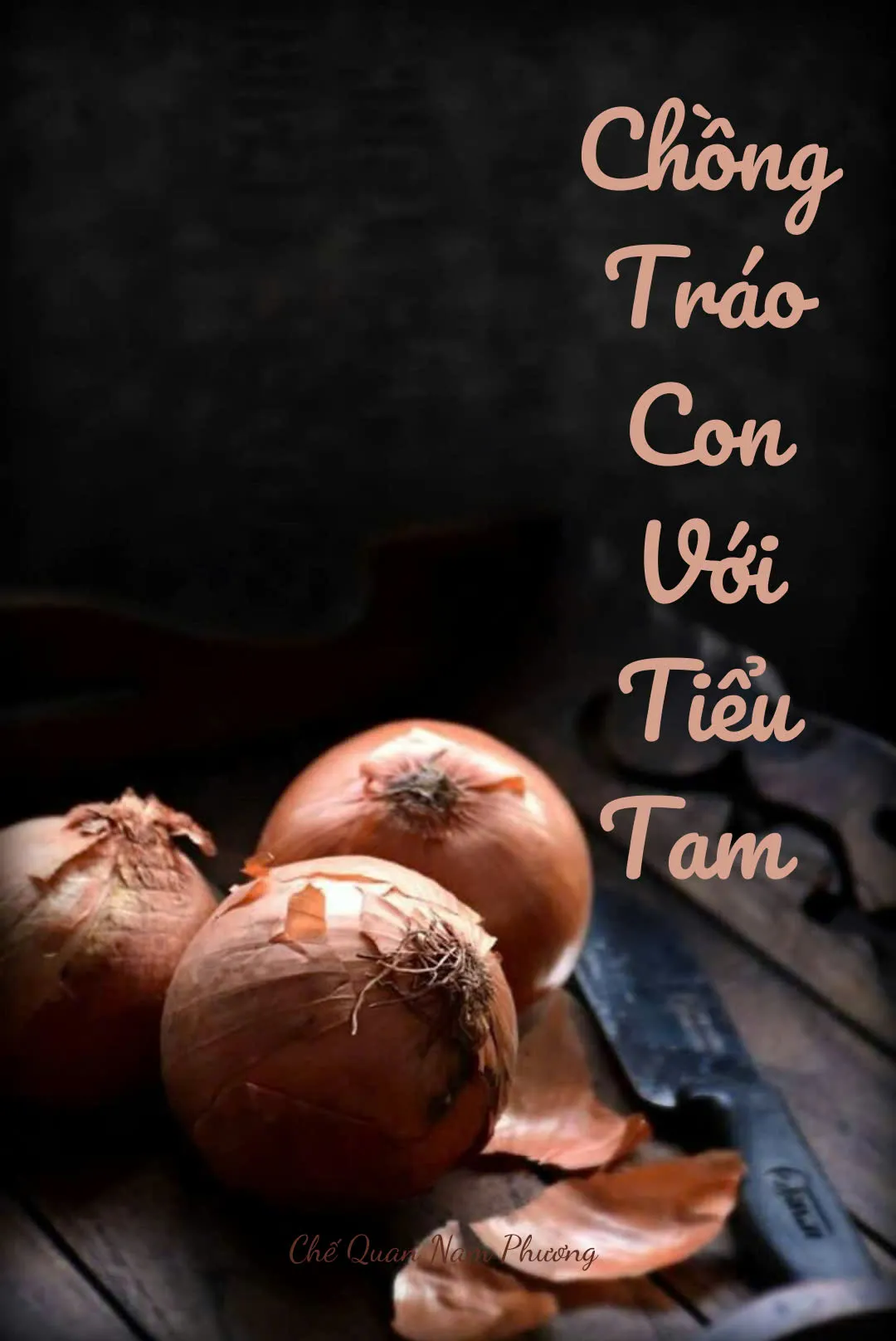 Bìa truyện CHỒNG TRÁO CON VỚI TIỂU TAM