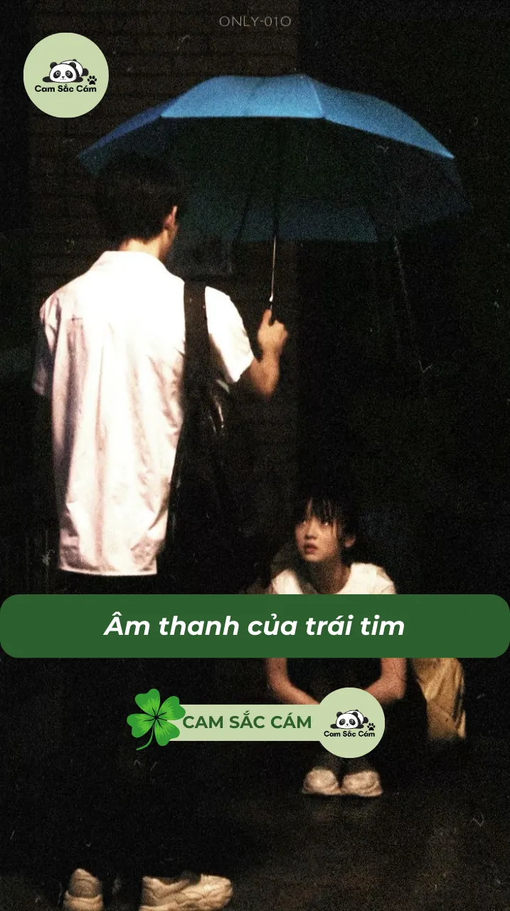 Bìa truyện Âm Thanh Của Trái Tim