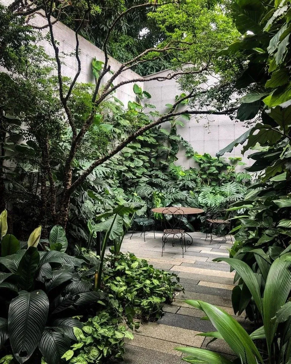 Anh Quỳ, Tôi Nhìn