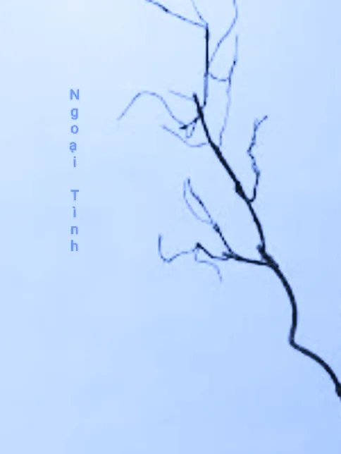 Ngoại tình