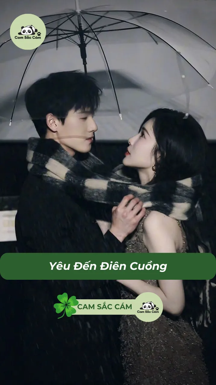 Bìa truyện Yêu Đến Điên Cuồng