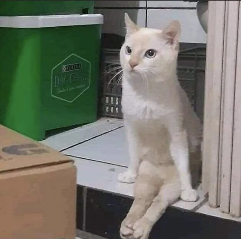 Chưa Về Làm Dâu Đã Muốn Làm Chủ