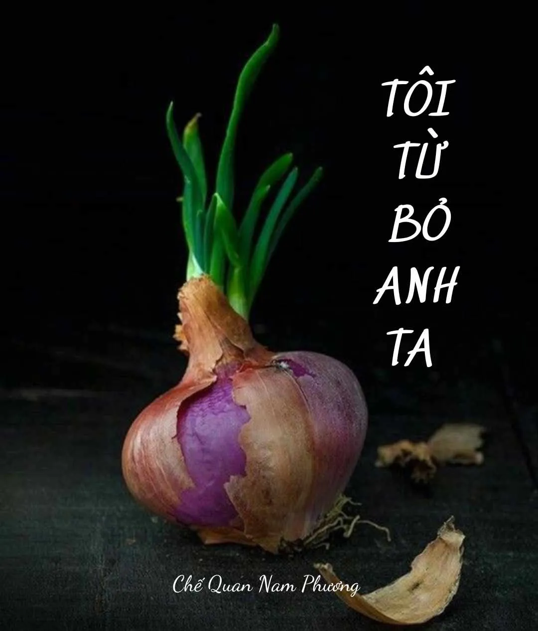 Bìa truyện TÔI TỪ BỎ ANH TA