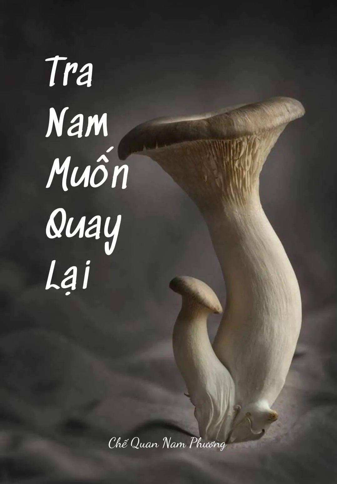 Bìa truyện TRA NAM MUỐN QUAY LẠI